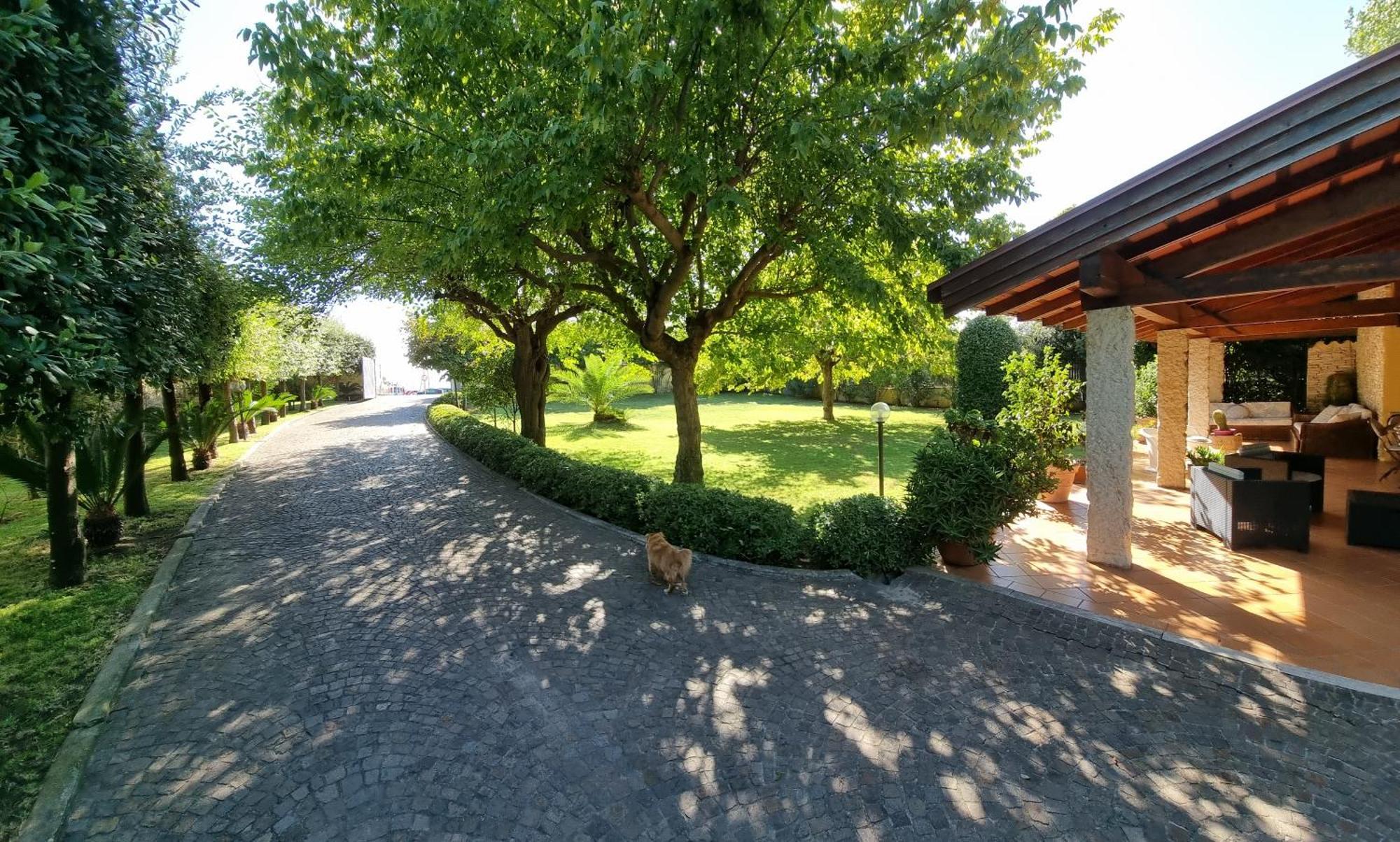 Villa Cecilia Sul Lago Fronte Mare Sperlonga Eksteriør billede